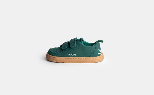 Rafi Verde